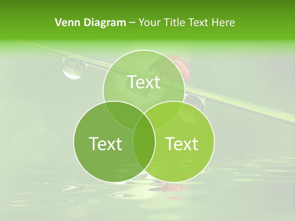 A Lady Bug Sitting On Top Of A Green Leaf PowerPoint Template