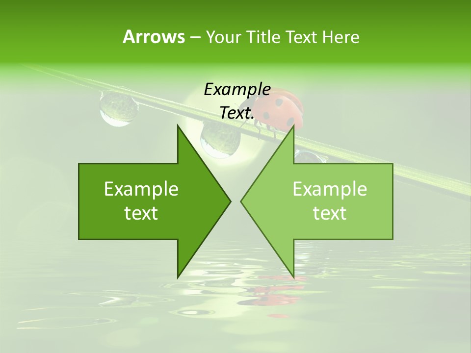 A Lady Bug Sitting On Top Of A Green Leaf PowerPoint Template