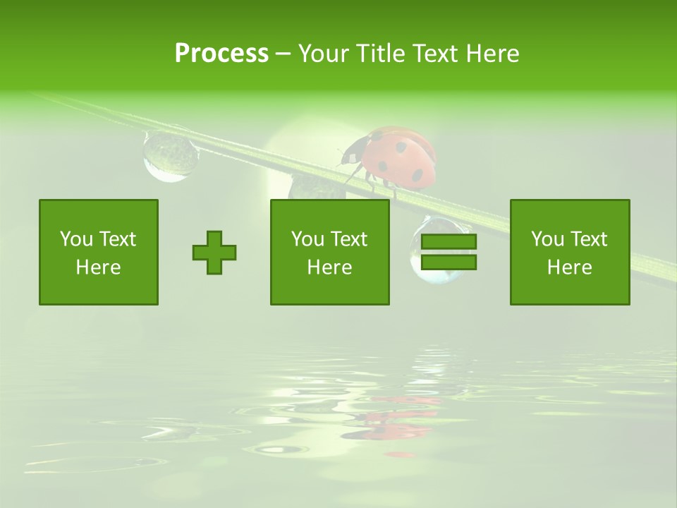 A Lady Bug Sitting On Top Of A Green Leaf PowerPoint Template