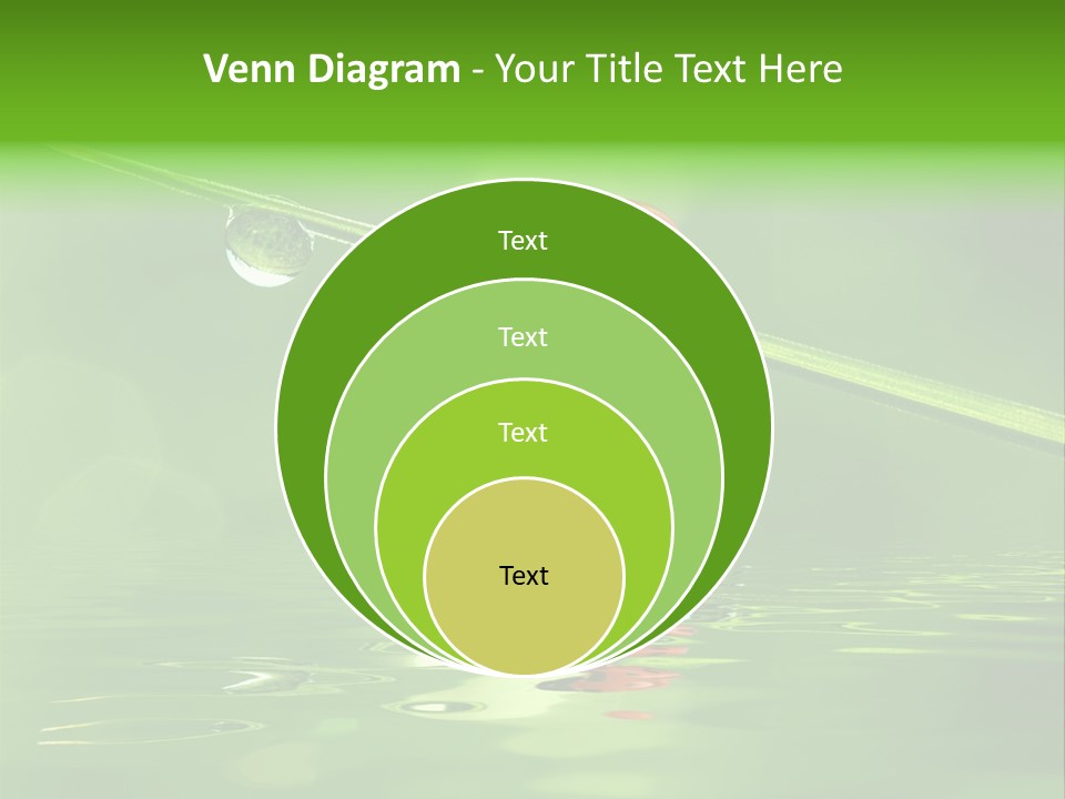 A Lady Bug Sitting On Top Of A Green Leaf PowerPoint Template