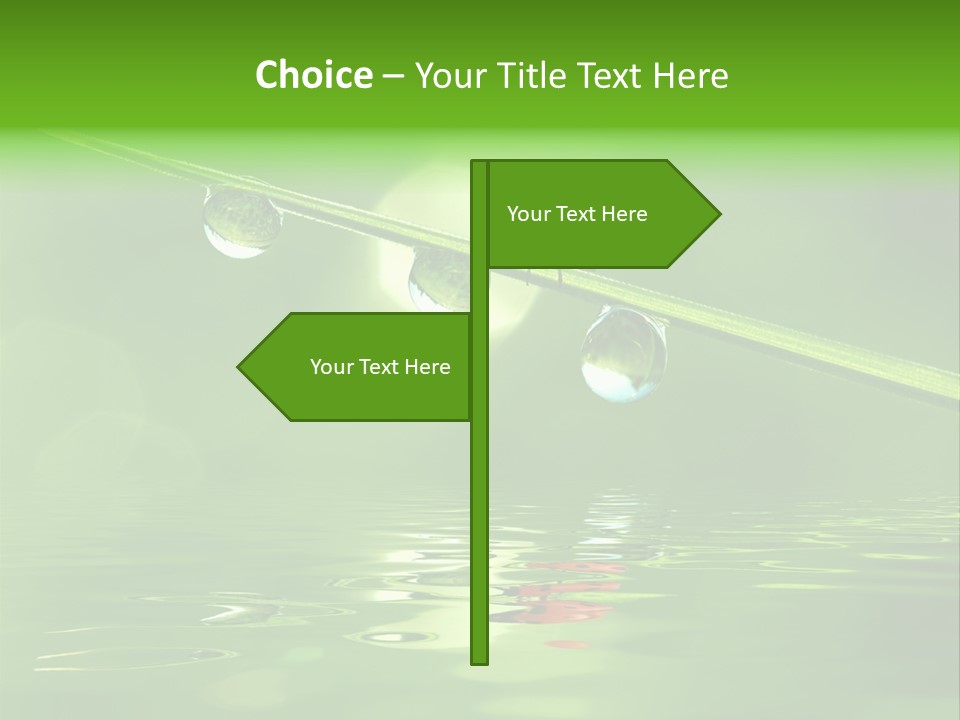 A Lady Bug Sitting On Top Of A Green Leaf PowerPoint Template