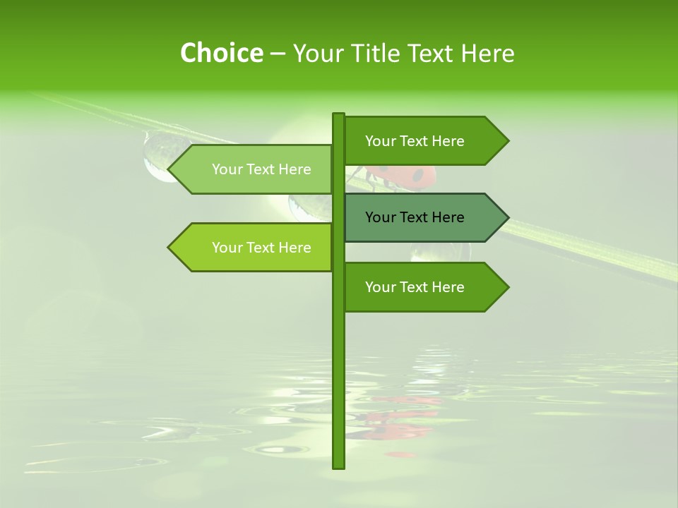 A Lady Bug Sitting On Top Of A Green Leaf PowerPoint Template