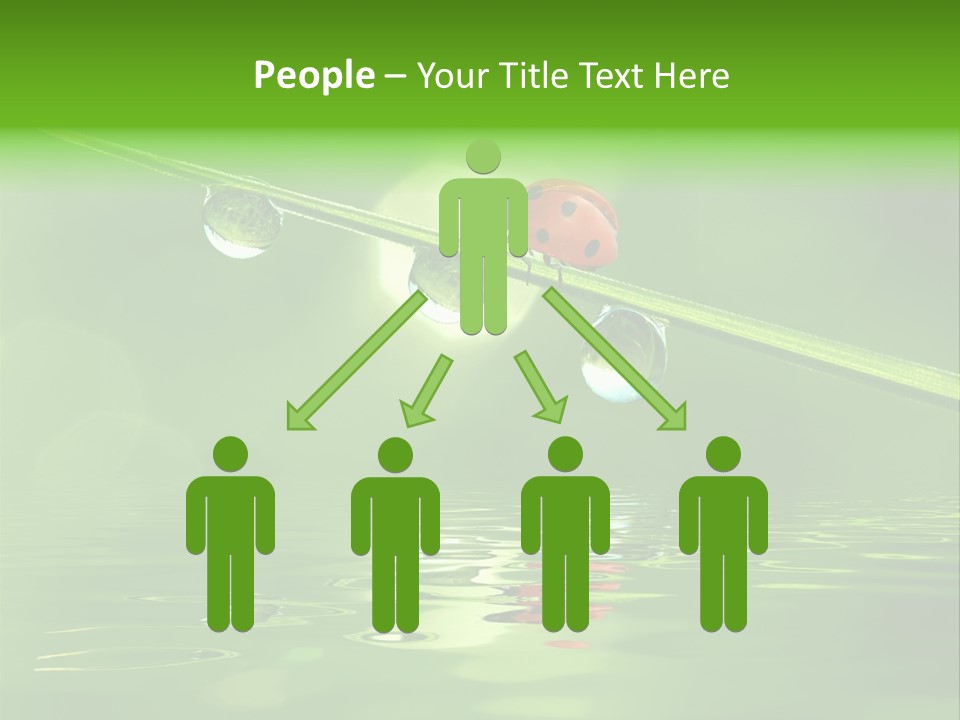 A Lady Bug Sitting On Top Of A Green Leaf PowerPoint Template