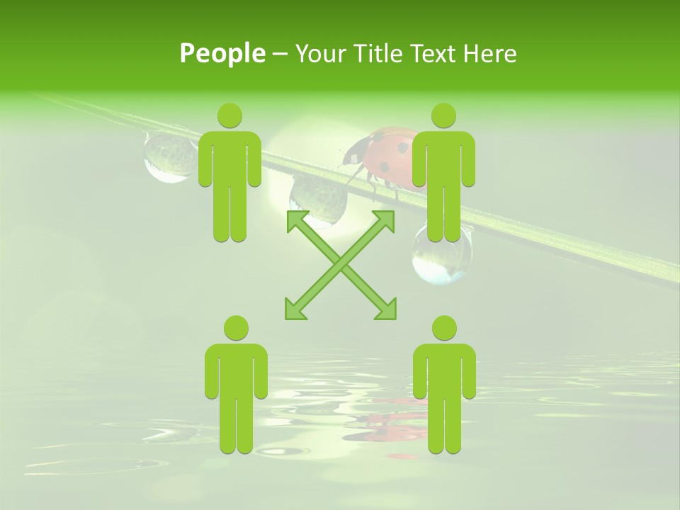 A Lady Bug Sitting On Top Of A Green Leaf PowerPoint Template