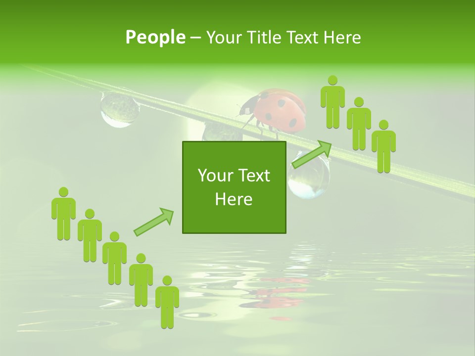 A Lady Bug Sitting On Top Of A Green Leaf PowerPoint Template