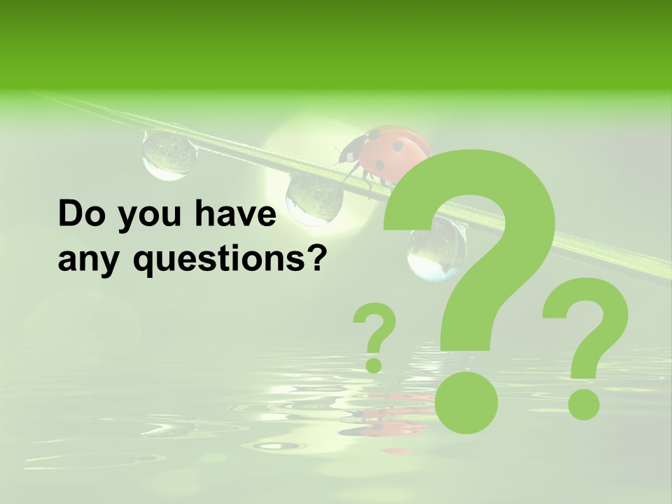 A Lady Bug Sitting On Top Of A Green Leaf PowerPoint Template