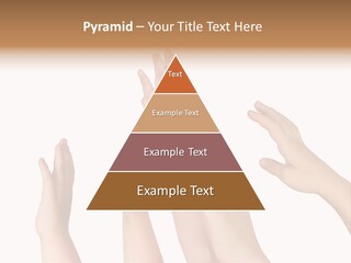 A Group Of Hands Reaching Up Into The Air PowerPoint Template