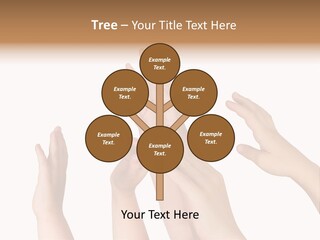 A Group Of Hands Reaching Up Into The Air PowerPoint Template