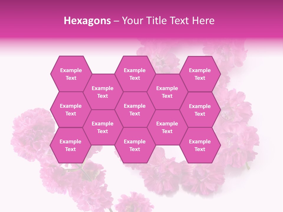 Element Font Figure PowerPoint Template