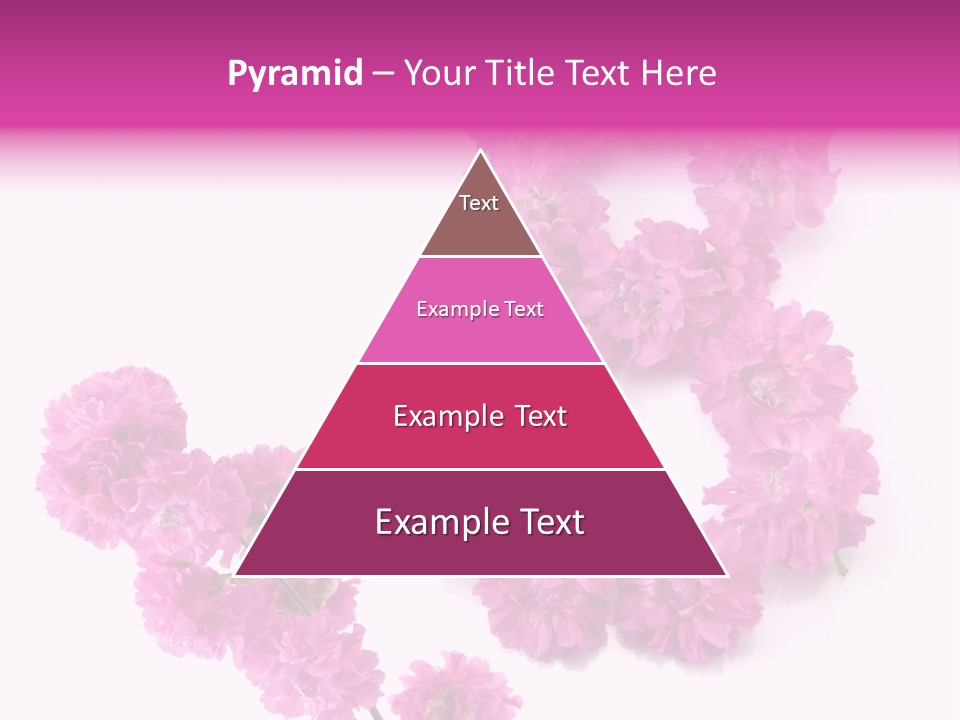 Element Font Figure PowerPoint Template