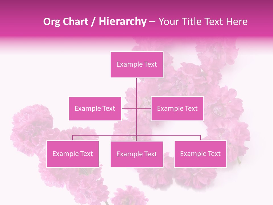 Element Font Figure PowerPoint Template