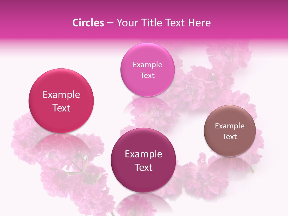 Element Font Figure PowerPoint Template