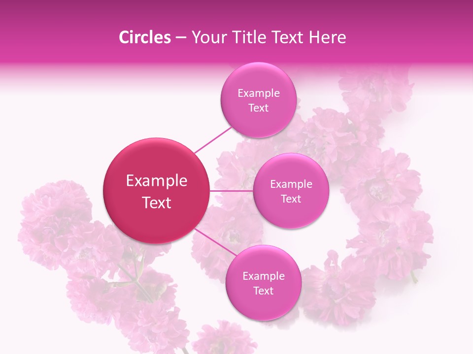 Element Font Figure PowerPoint Template