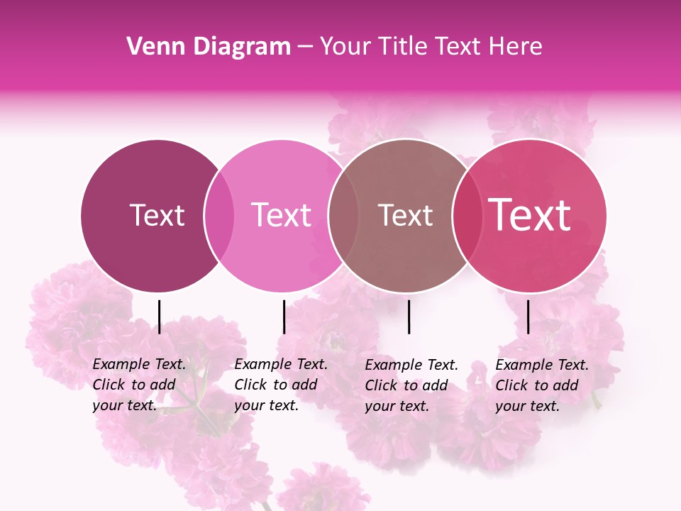 Element Font Figure PowerPoint Template