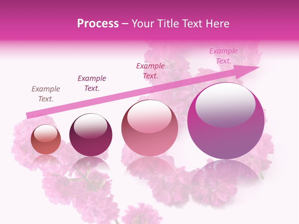 Element Font Figure PowerPoint Template