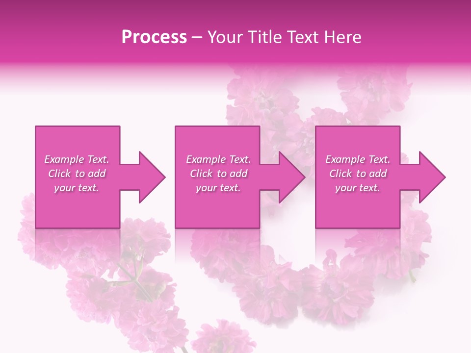 Element Font Figure PowerPoint Template