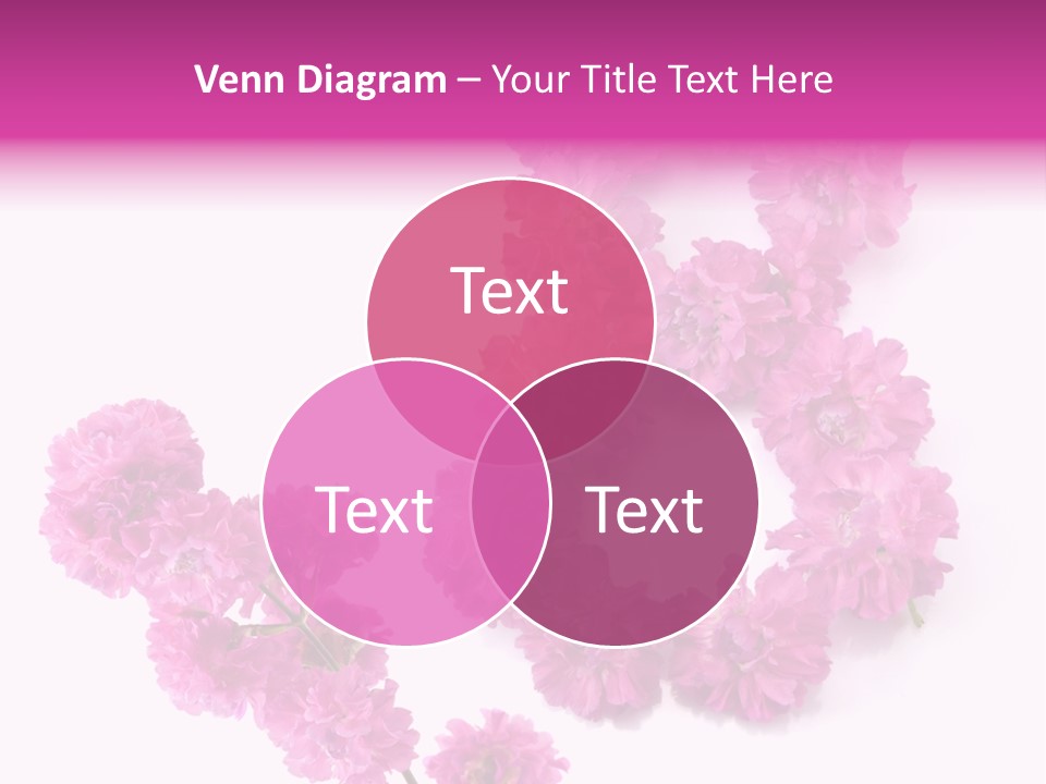 Element Font Figure PowerPoint Template