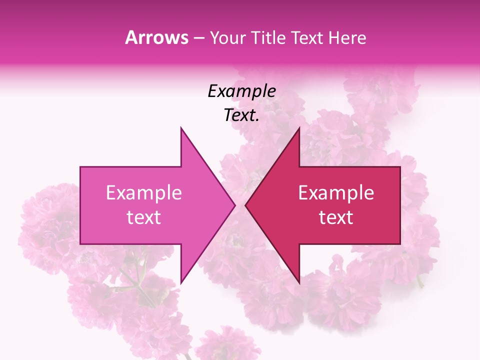 Element Font Figure PowerPoint Template