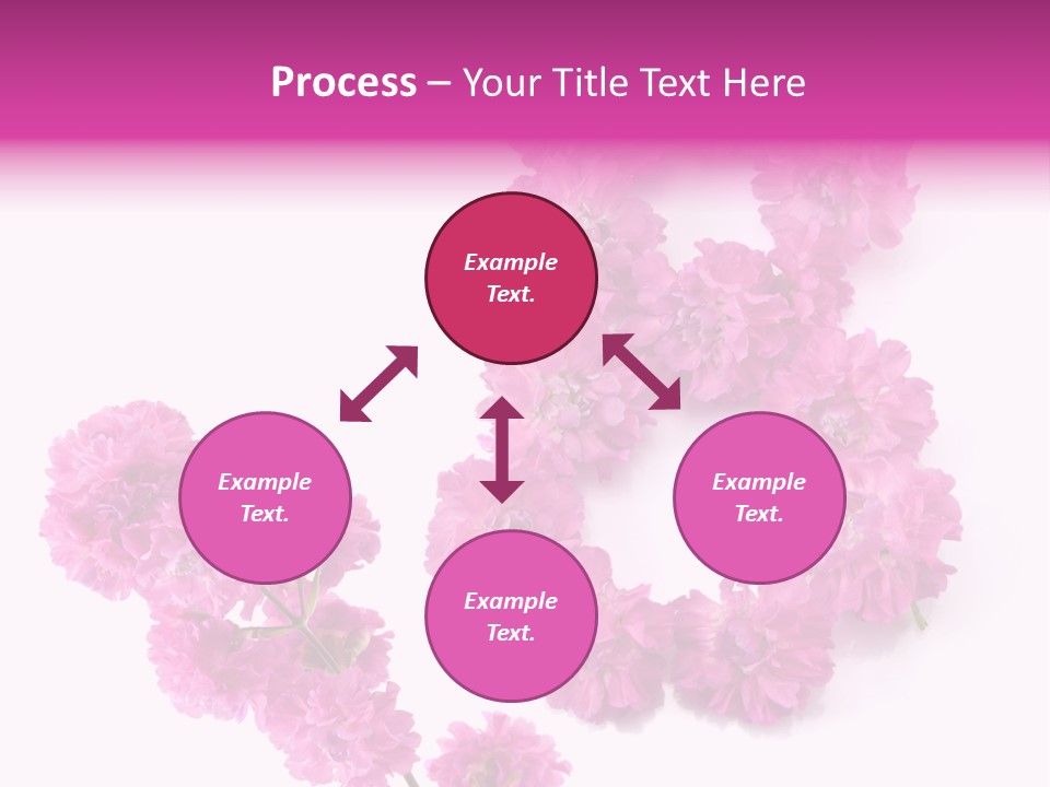 Element Font Figure PowerPoint Template