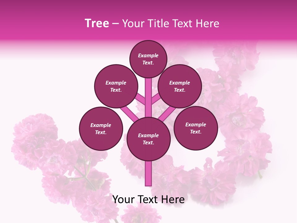 Element Font Figure PowerPoint Template