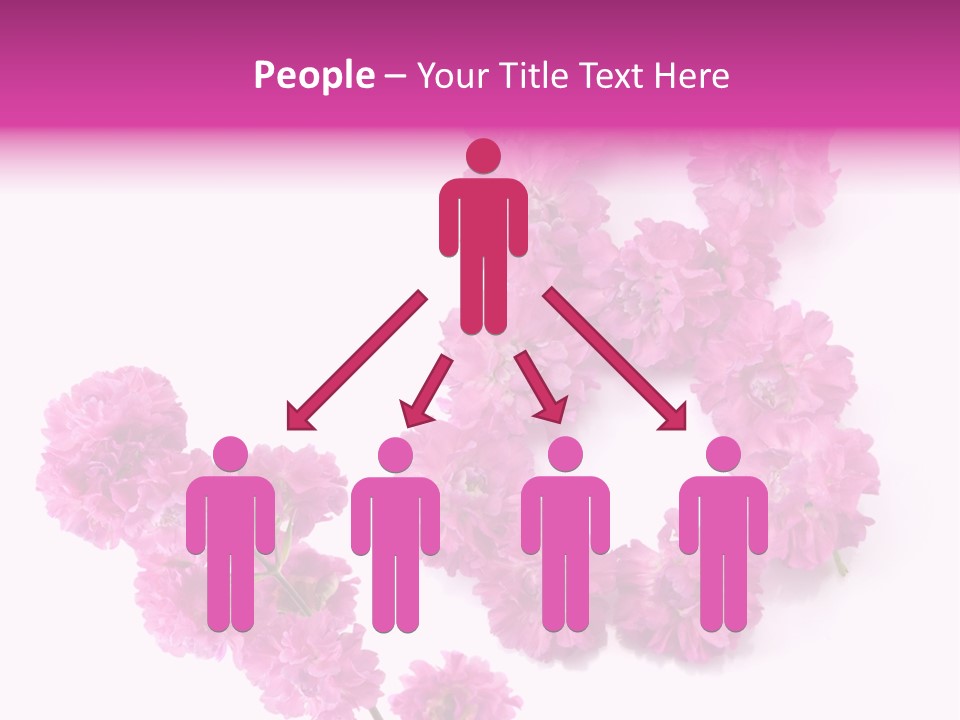 Element Font Figure PowerPoint Template