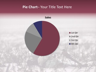 War German Frost PowerPoint Template