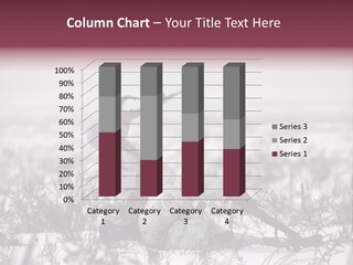 War German Frost PowerPoint Template