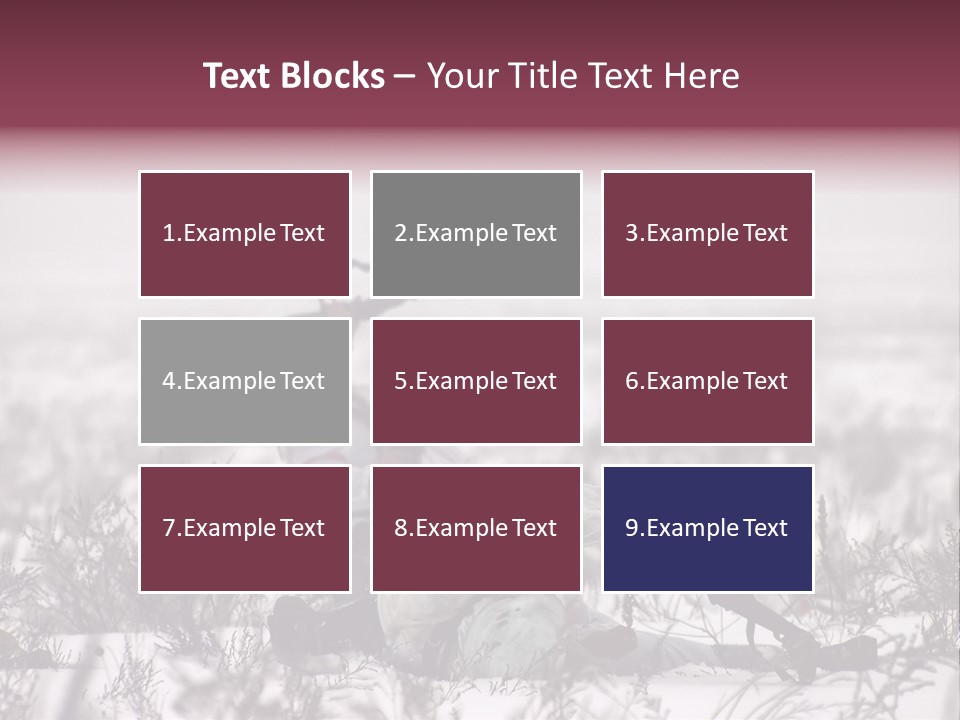 War German Frost PowerPoint Template