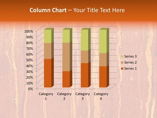 Platinum Rust Industrial PowerPoint Template