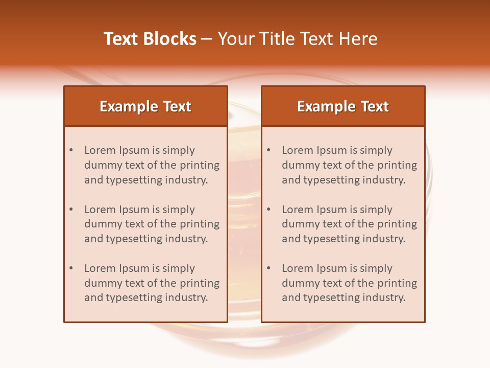 Hairstylist Caucasian Hairdryer PowerPoint Template