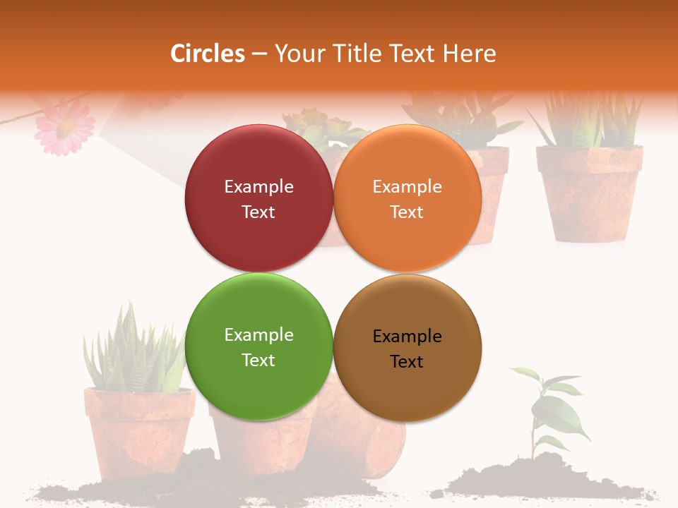 Background New Sapling PowerPoint Template