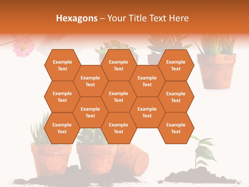 Background New Sapling PowerPoint Template