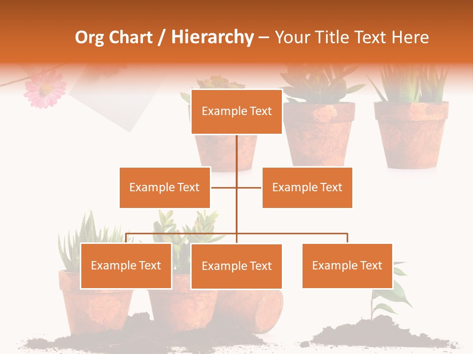 Background New Sapling PowerPoint Template
