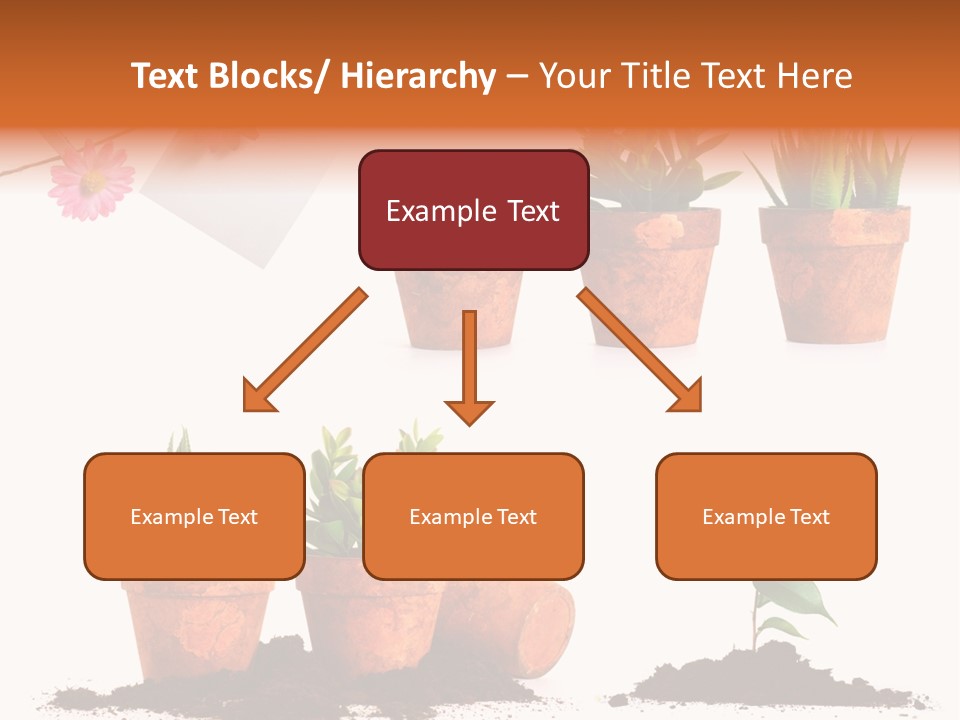 Background New Sapling PowerPoint Template