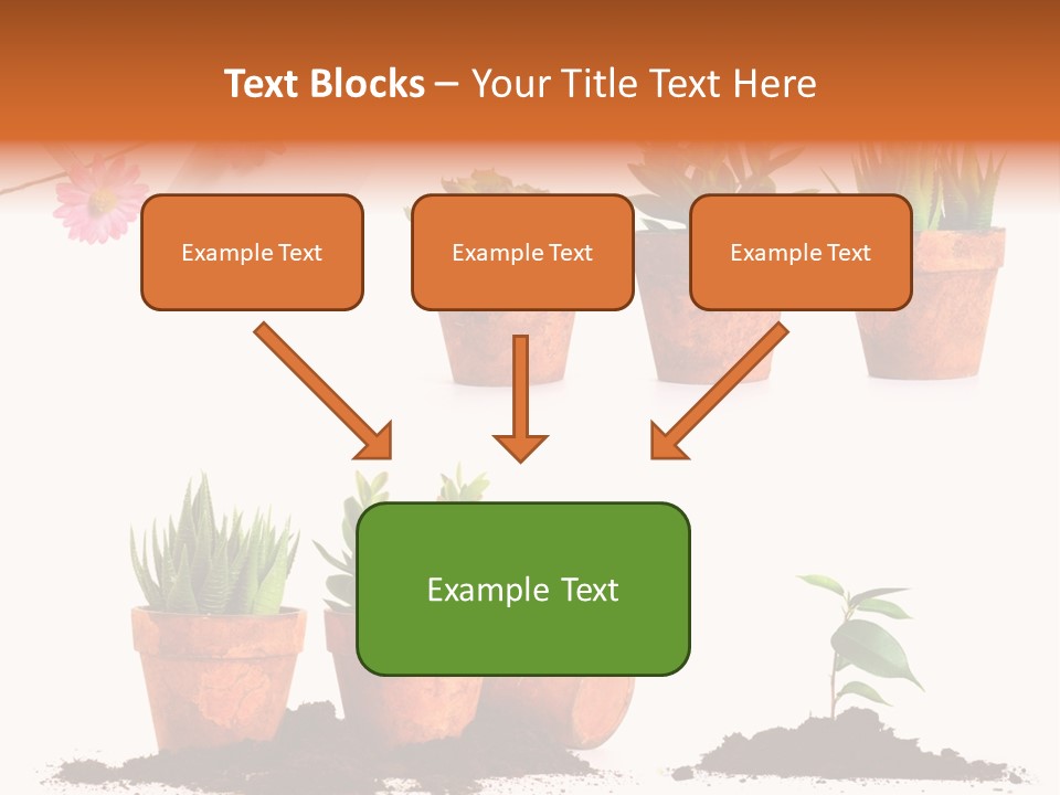 Background New Sapling PowerPoint Template