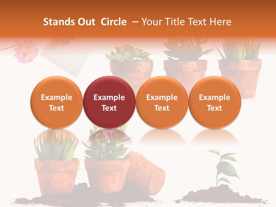 Background New Sapling PowerPoint Template
