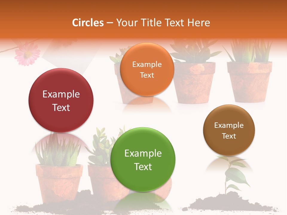 Background New Sapling PowerPoint Template
