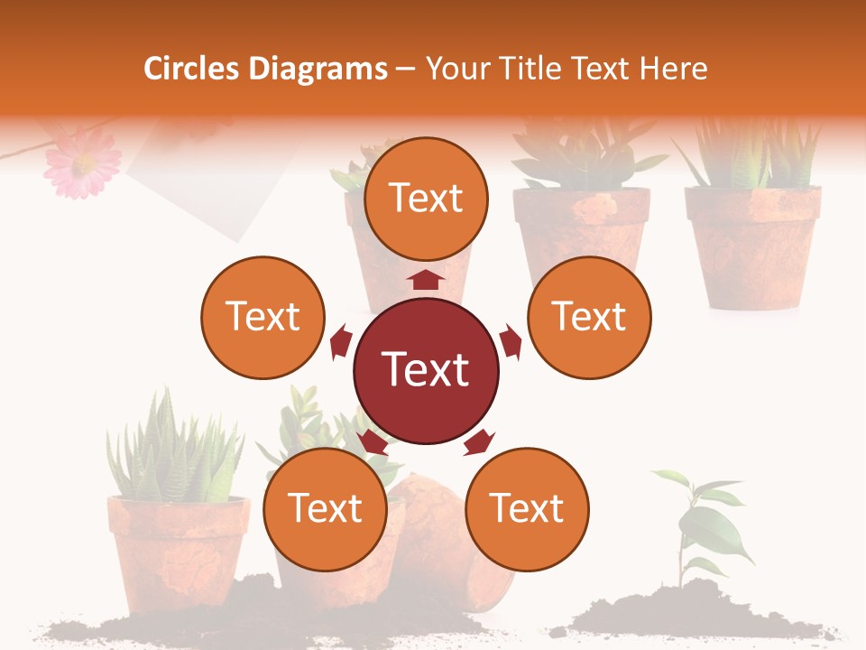 Background New Sapling PowerPoint Template