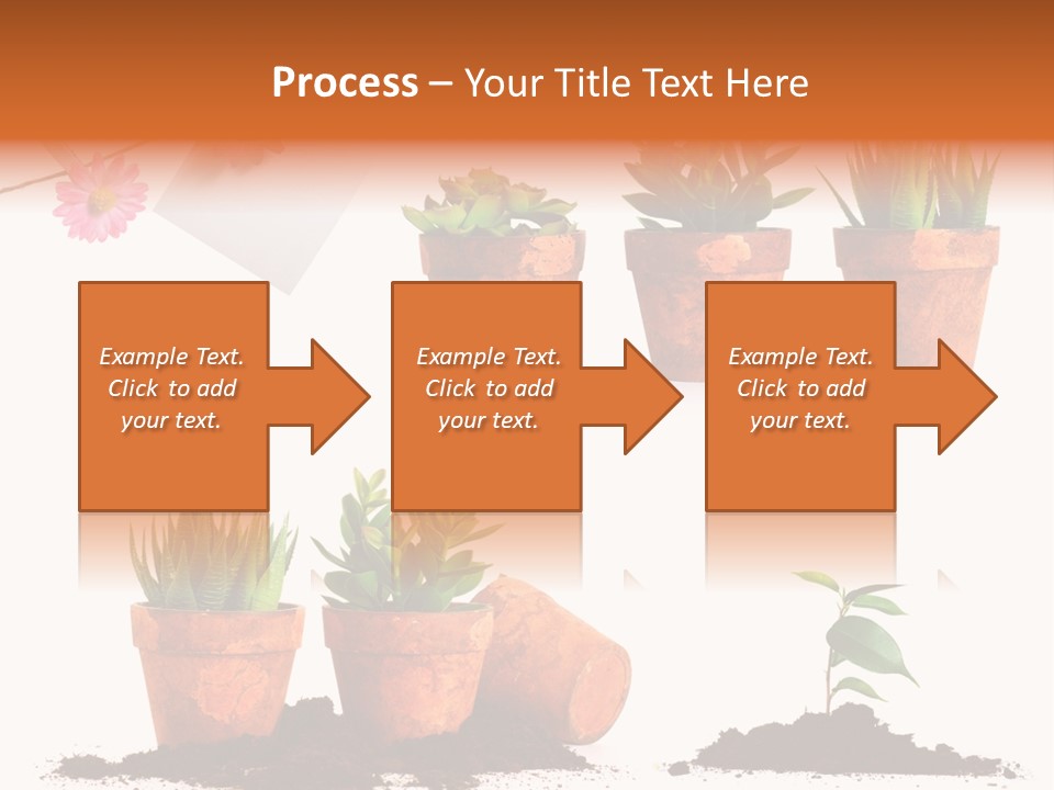 Background New Sapling PowerPoint Template