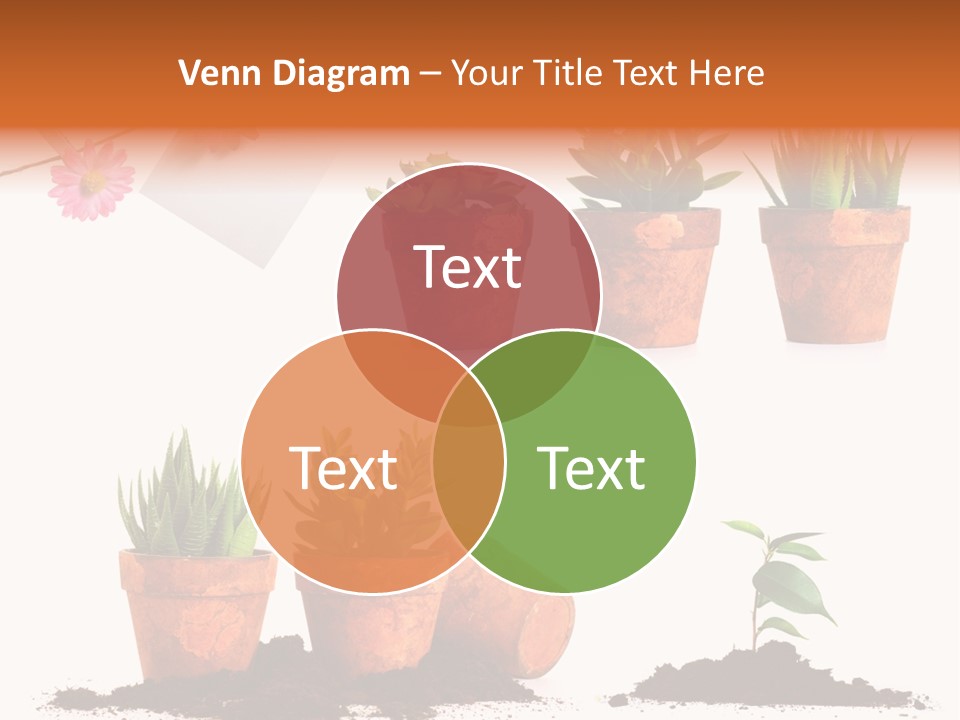 Background New Sapling PowerPoint Template
