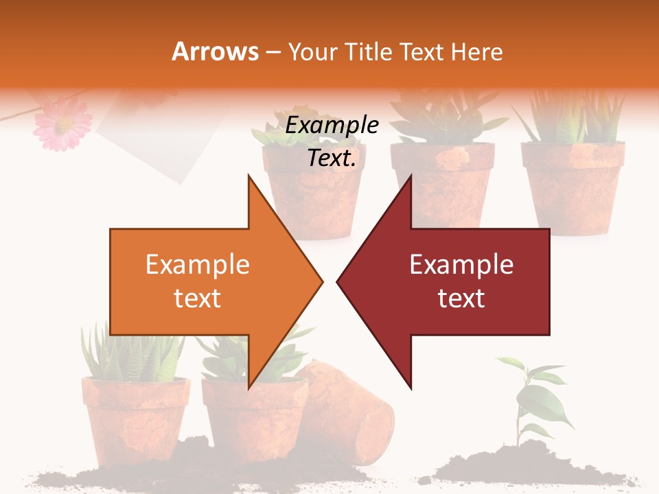 Background New Sapling PowerPoint Template