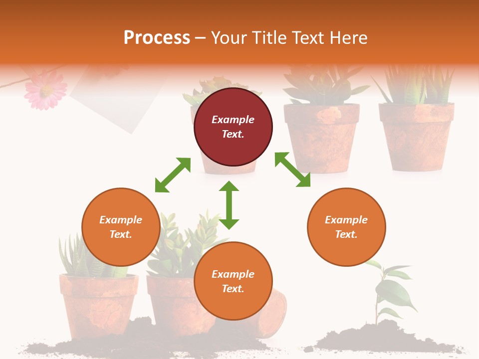 Background New Sapling PowerPoint Template