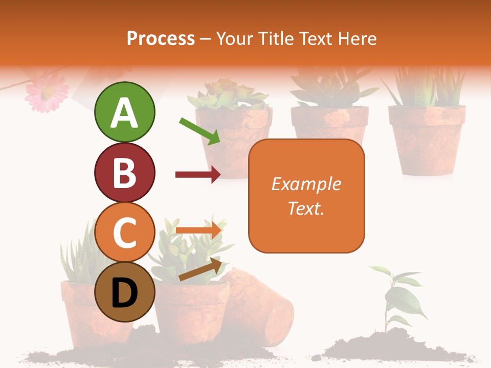 Background New Sapling PowerPoint Template