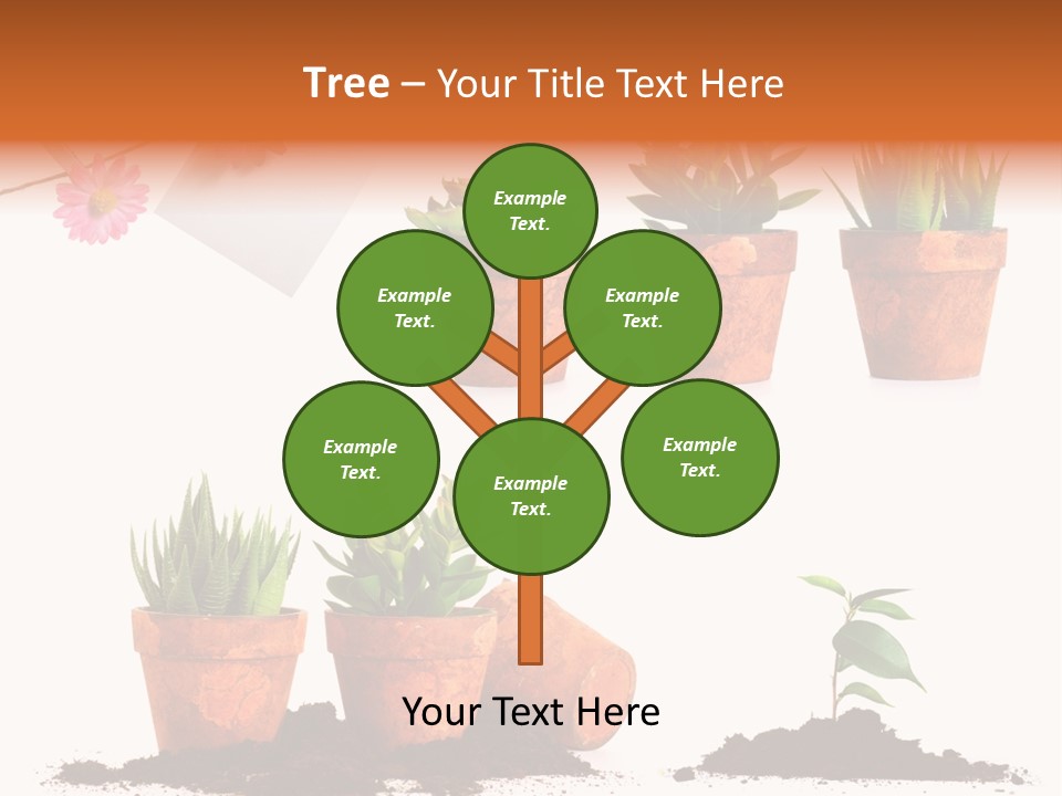 Background New Sapling PowerPoint Template