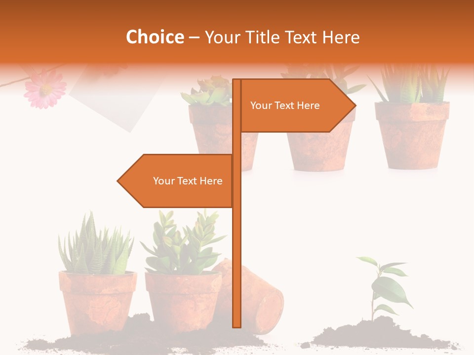 Background New Sapling PowerPoint Template