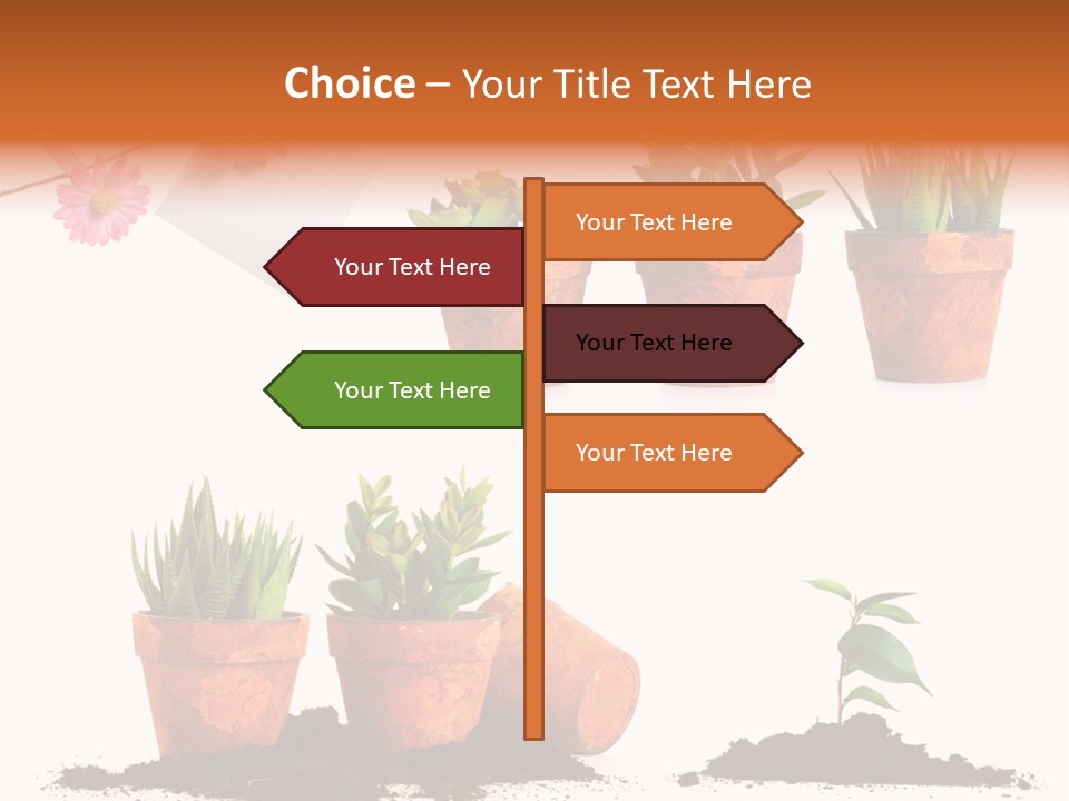 Background New Sapling PowerPoint Template