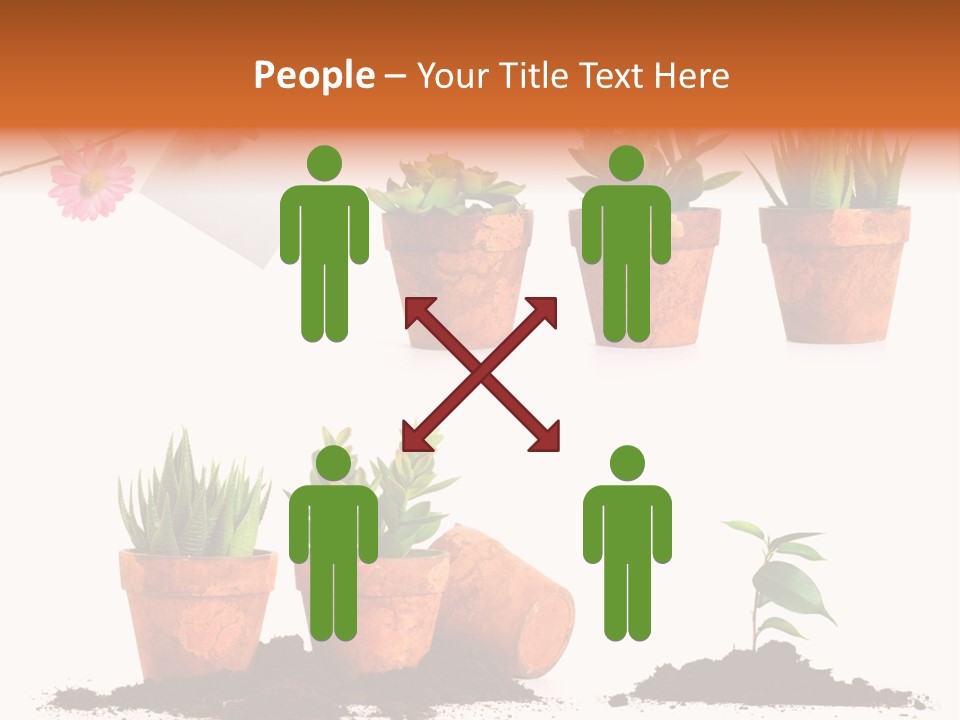 Background New Sapling PowerPoint Template