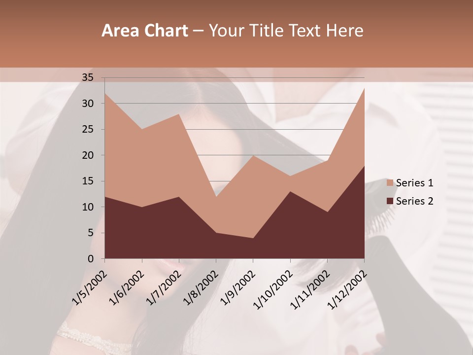 Hairstylist Caucasian Hairdryer PowerPoint Template