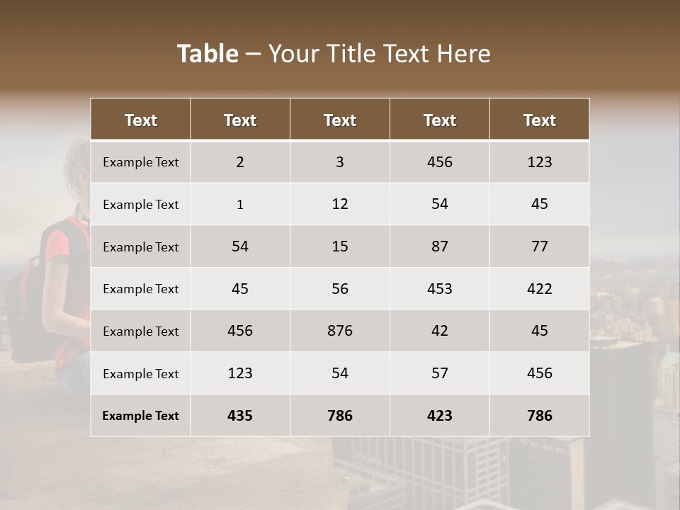 Panorama Computer Beauty PowerPoint Template