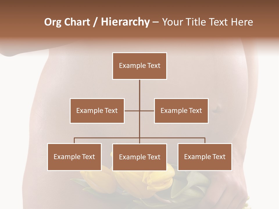 Daddy Belly Expecting PowerPoint Template